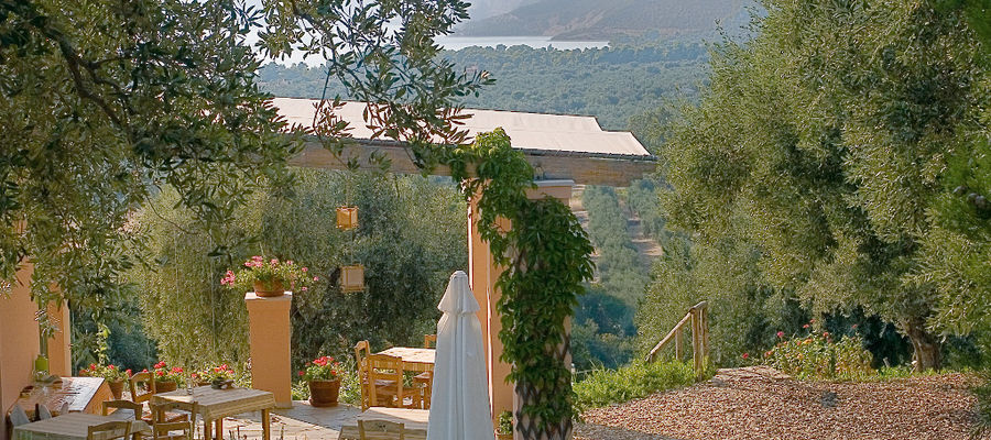 'Eleonas' outside with pergola and table with chairs surrounded by trees